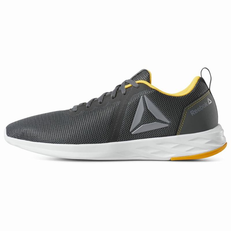 Bocanci Munte Reebok Astroride Essential Barbati Gri/Aurii Romania AR7302HD
